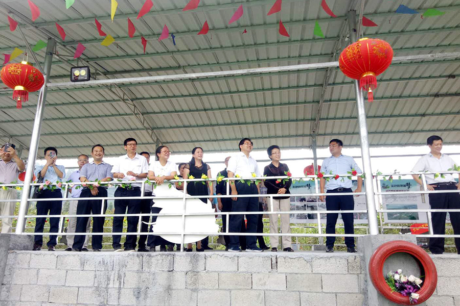 賽豬會(huì).jpg